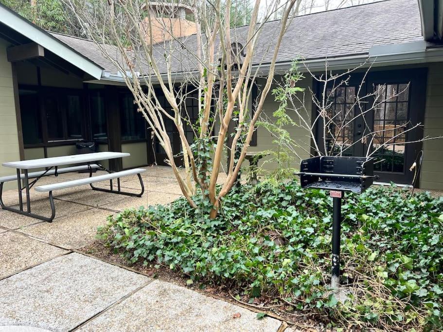 Bourbon Hollow Lodge With Hot Tub And Pool Plus Game Room Only 5 Min To Downtown 蓋特林堡 外观 照片